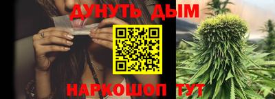 сатива Бийск