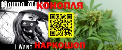 сатива Бийск