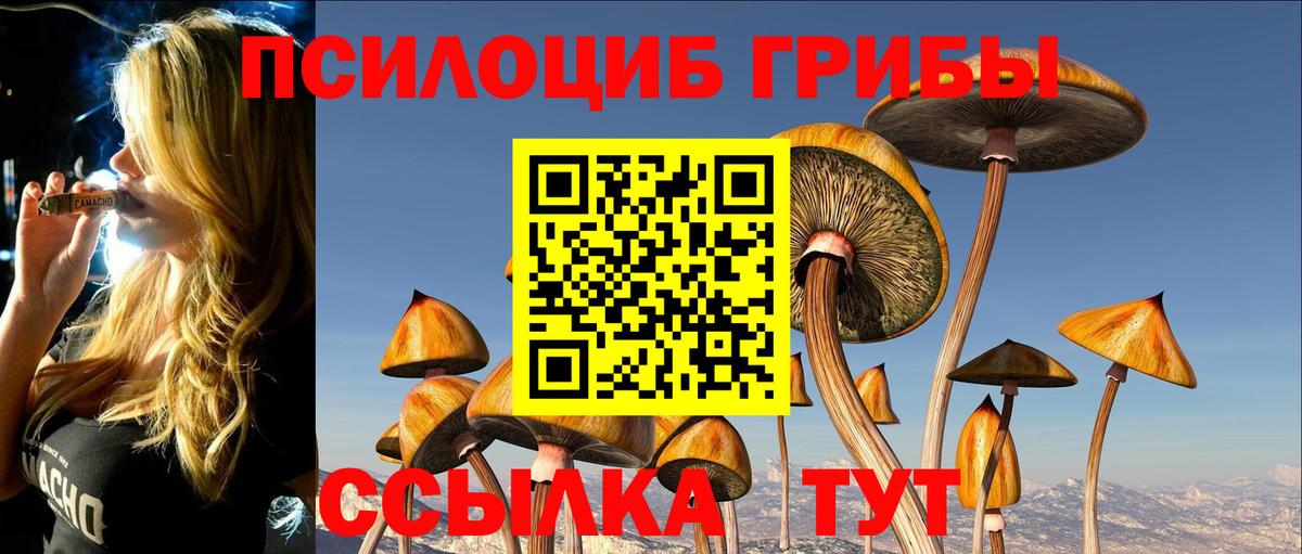 Галлюциногенные грибы GOLDEN TEACHER Ирбит